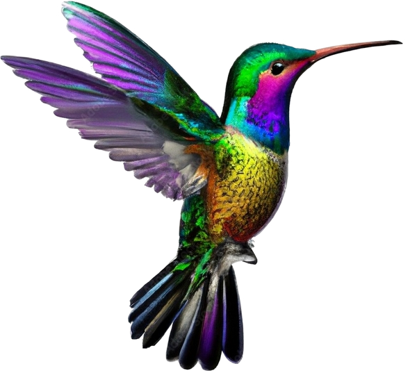 Humming Bird Logo